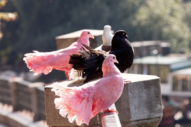 被重新定义 被重新定义