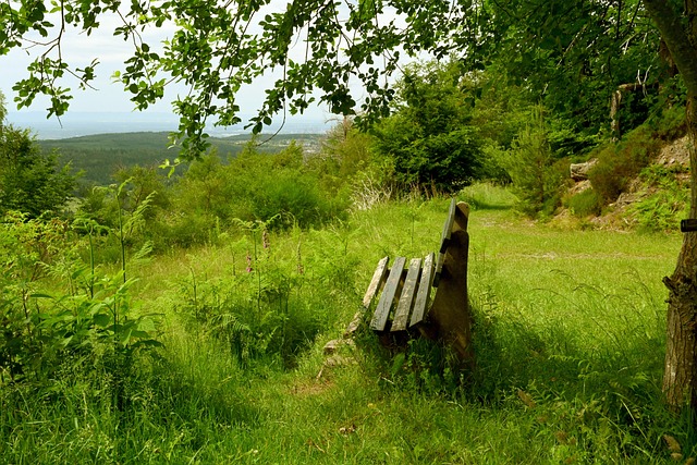 有可能为球 有可能为球