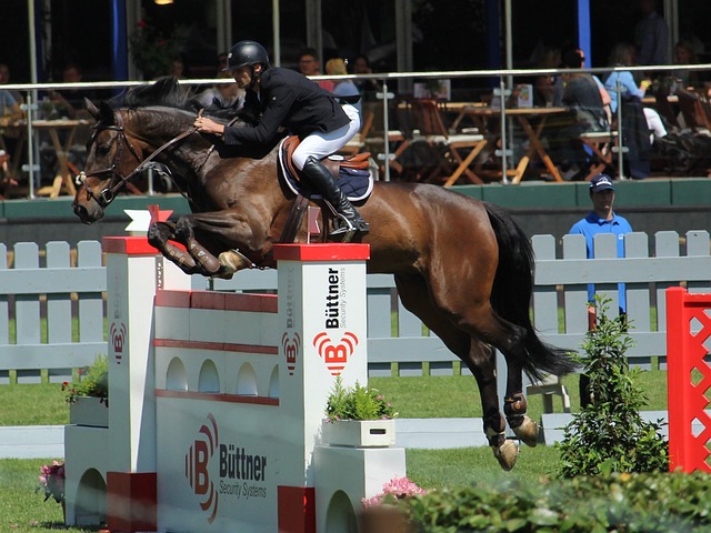 期待竞速的 期待竞速的