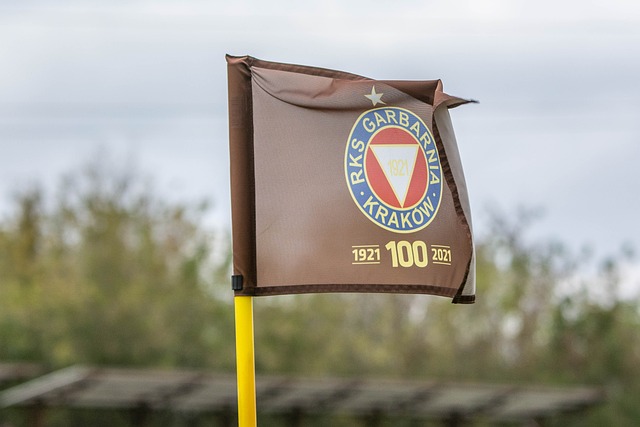 通过一系列 通过一系列