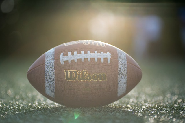 的领导下 的领导下