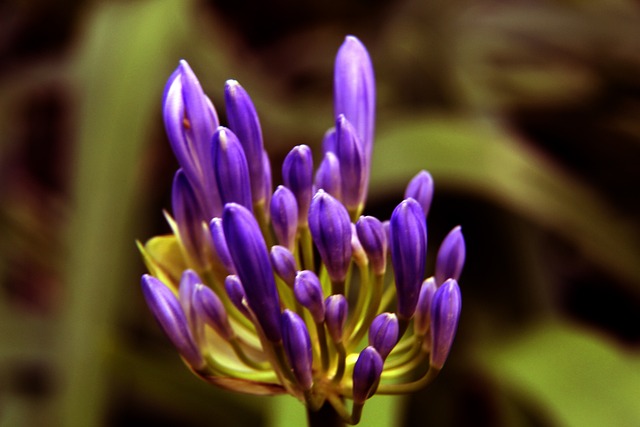 作的视频火 作的视频火