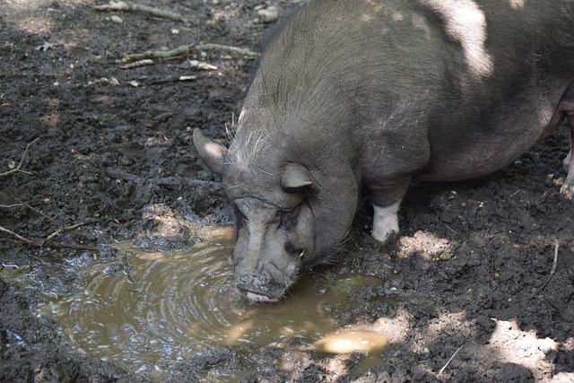 文化沟通技 文化沟通技